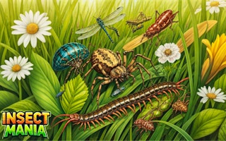 Insect Mania | Play HTML5 Games